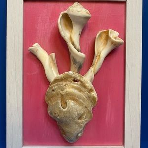 Handmade framed sea shell art